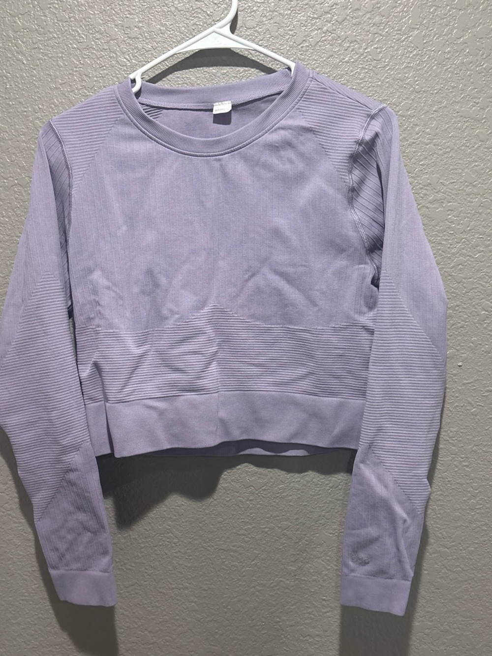 DSG Lavender Ribbed Seam Long-Sleeve Crop Top